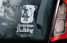 American Bulldog Car Sticker - Dog On Board Bumper Window Decal Sign Gift V05