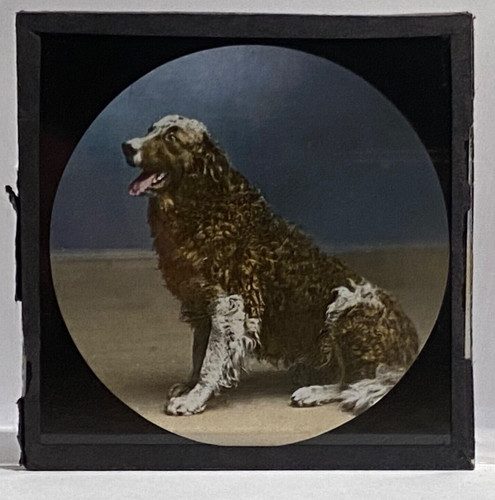 Antique magic lantern slide - magic,