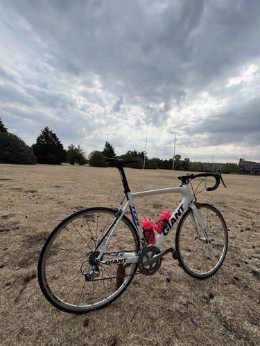 Giant tcr full - tcr,