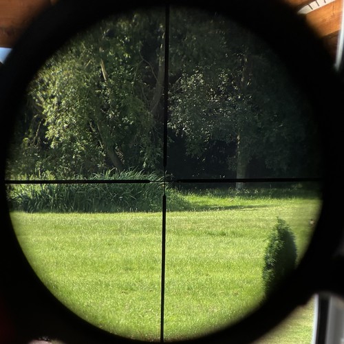 Pecar champion 4x35 rifle - pecar,