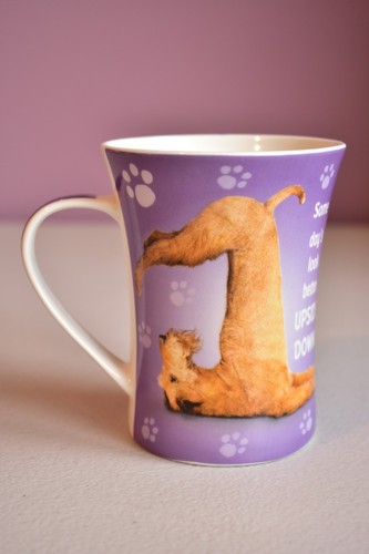 Airedale terrier yoga - yoga, mug