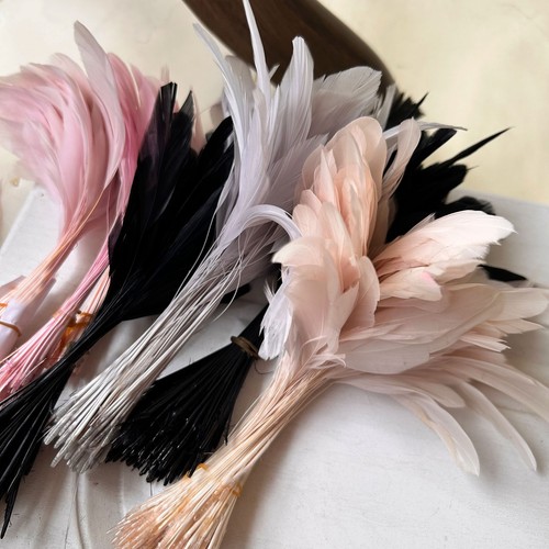 Assorted colour feathers - assorted,