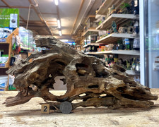 MED/LARGE Dragon Wood Aquarium Vivarium Natural Aquascape Driftwood Bogwood