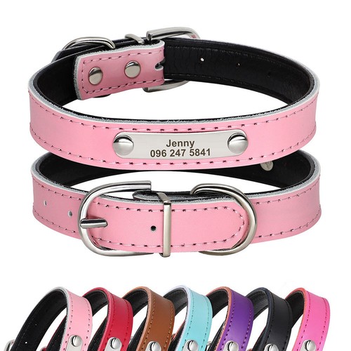 Personalized dog collar - personalized,