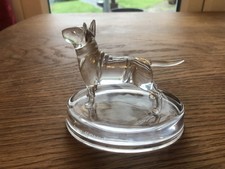 Crystal English Bull Terrier