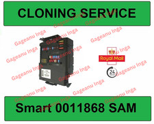 CLONING SERVICE for SMART SAM UNIT 0011868V 5WK4 5090 452 451 450
