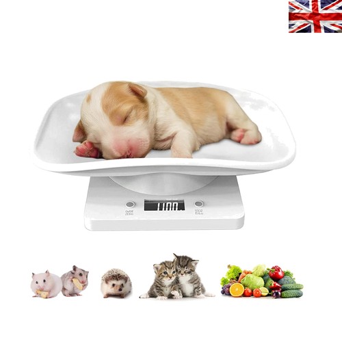Lightweight portable digital - portable,