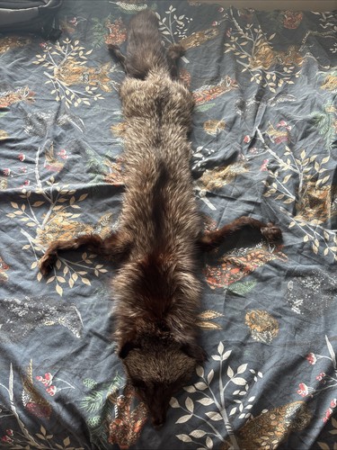 Silver fox skin scarf - silver,
