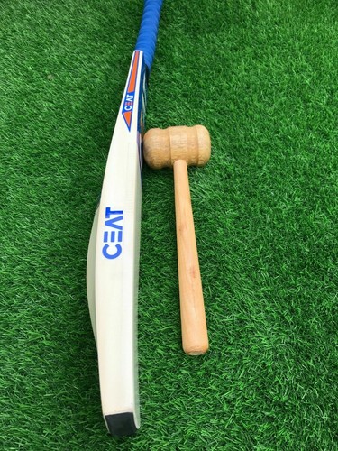 English willow cricket bat - willow,