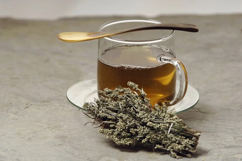 Mugwort herb biodegradable - herb,