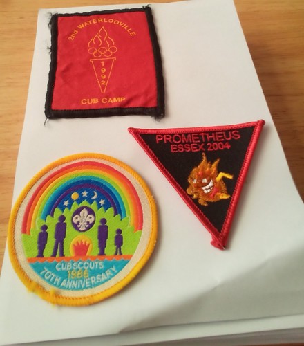 Scout badges