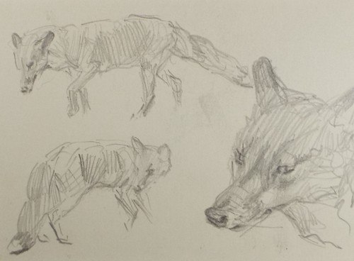 Original pencil sketch - original,