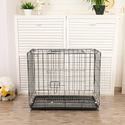 Black dog cage puppy - black, training