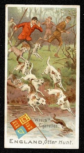 1900 england otter - 1900, hunt