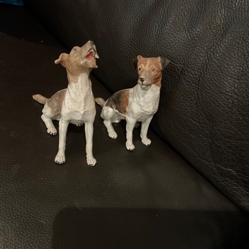 Dresden fox hound dog