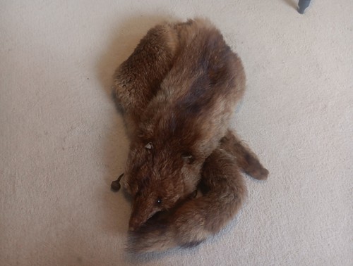 Vintage real fox - vintage, fur