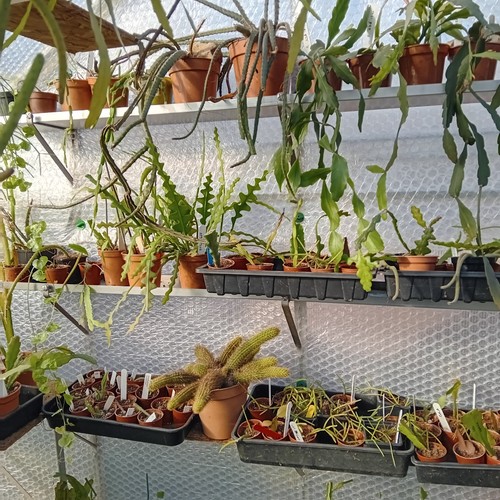 Aluminium greenhouse shelf - ,