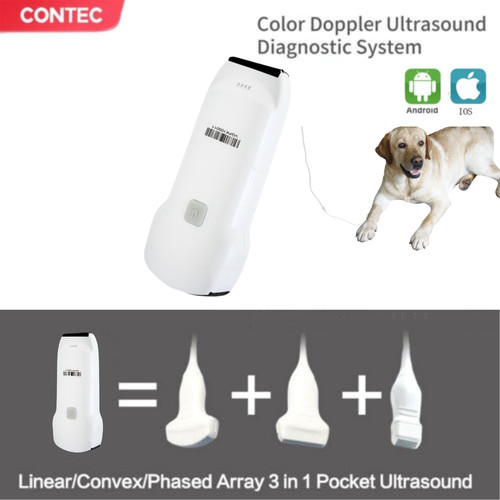 Veterinary ultrasound scanner - ultrasound,