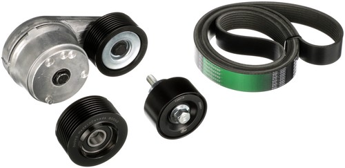 Gat multi ribbed belt - multi,