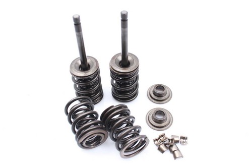 Exhaust valves valve springs