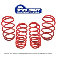 Prosport 40mm Lowering Springs