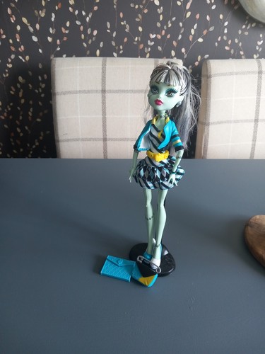Monster high picture day - high,