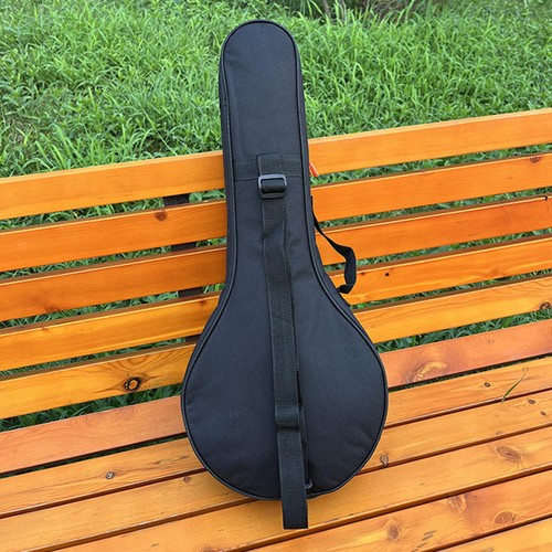Mandolin storage case banjo - storage,