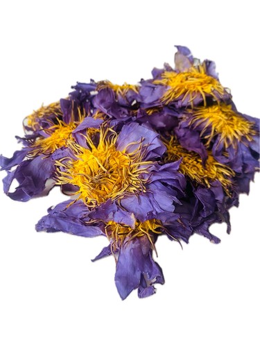 Blue lotus flowers dried - lotus,