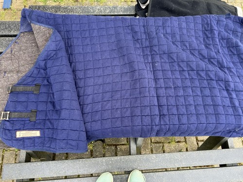 Thermatex rug - thermatex,