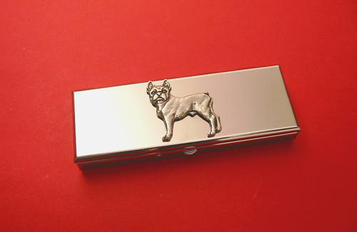 Boston terrier seven - on, day