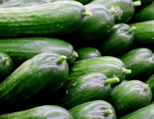 Cucumber various types jumbo - various, types,