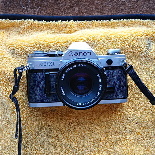 Canon black 35mm - canon, film