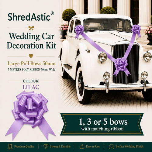 Shredastic wedding car - ,