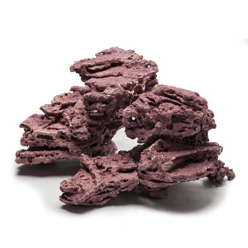 Marco rock coral line - rock, reef