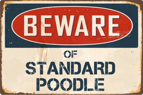 Beware standard poodle - of,