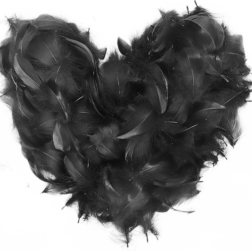 700pcs black feathers for - 700pcs,