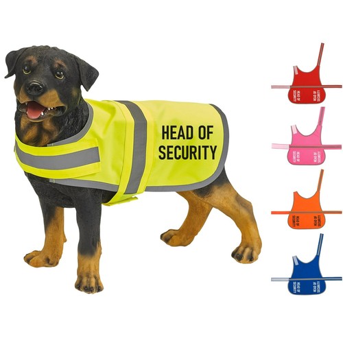 Head security vis - head,