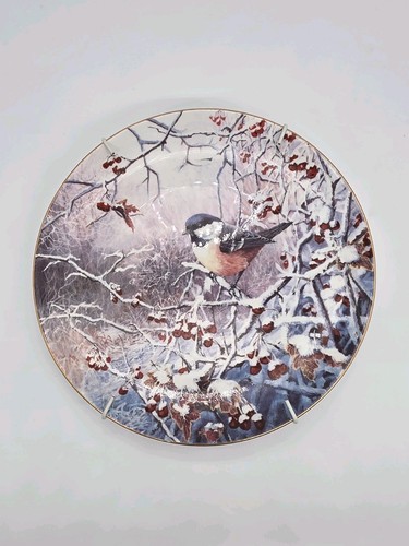 Wedgwood winter wonderland - winter,