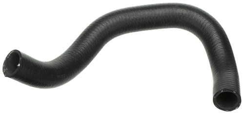 Radiator hose lower - radiator,