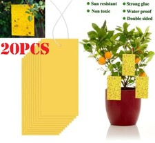 20Pcs Yellow Sticky Fly Trap