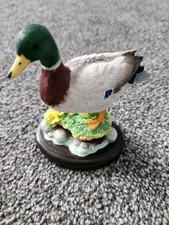 Border Fine Arts - Bird -