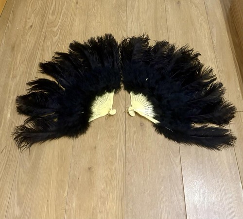 Pair black ostrich feather - pair,