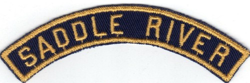 Cub scout saddle river - cub,