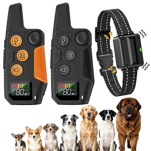 3300ft dog shock - dog,