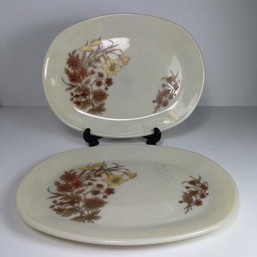 Vintage pyrex harvest spray - -,