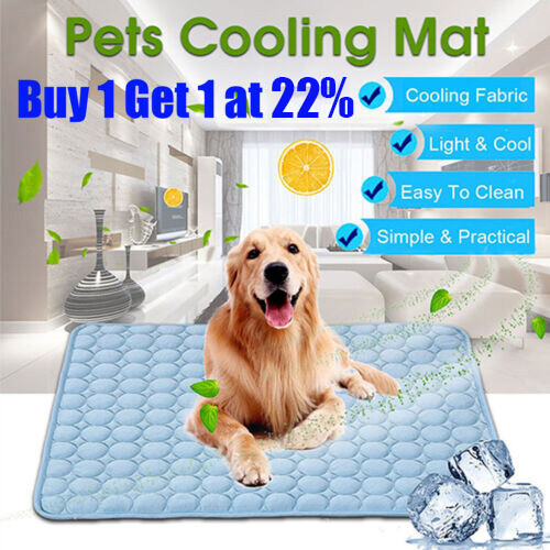 Large self cooling ice - large,