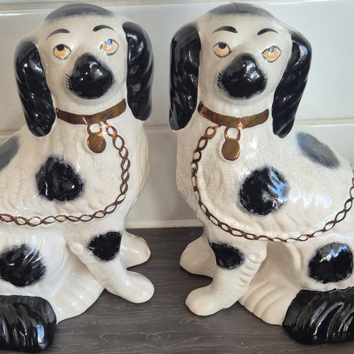 Pair staffordshire dogs - of,