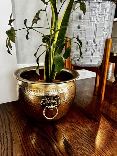 Vintage foo dog - vintage, planter