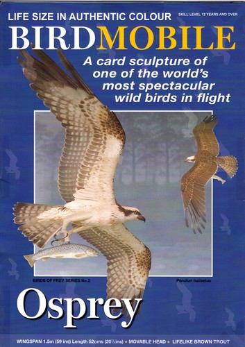 Card model kit british wild - model,