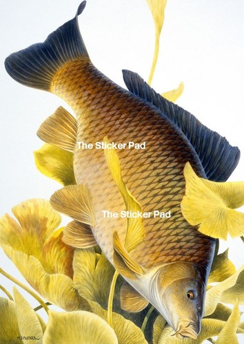 Vinyl sticker carp coarse - sticker,